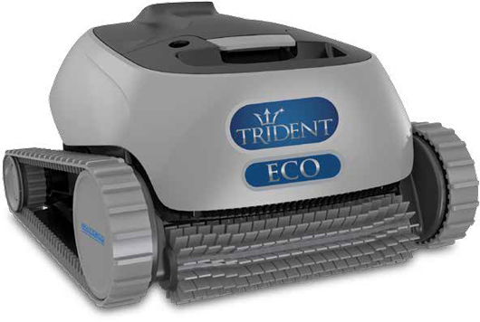 Trident Dolphin pool cleaner.